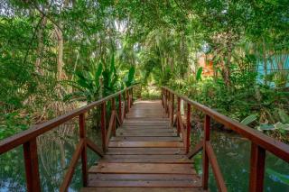 Tropical Beachfront Oasis - 6