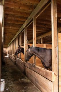 Charming Farmhouse Near Amish Country - 4