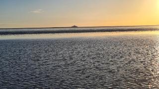 Sonne, Strand und Wattenmeer - 8