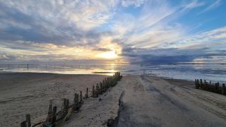 Sonne, Strand und Wattenmeer - 5