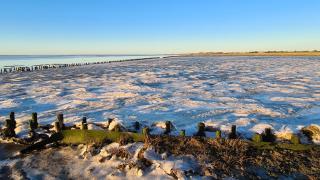 Sonne, Strand und Wattenmeer - 4