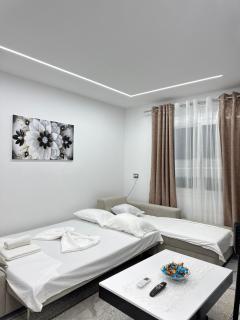 Aleks apartment - 2