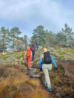 Høgda - Røyland Gård - 6