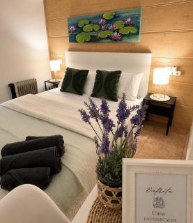 Tranquilo apto ideal paraTurismo Rural y Relax - 6