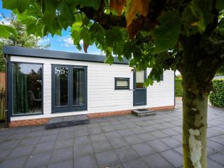 Chalet in Stegeren near heathlands - 3