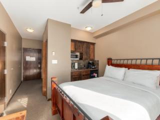 Relaxing MTN Studio for 2 Hot Tub and Ski Access - 4