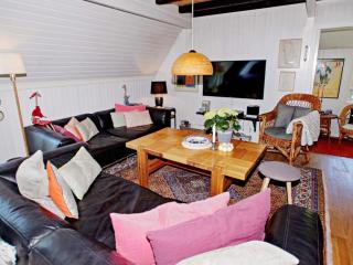 4 star holiday home in Hemmet - 1