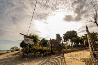Borassus Nature Huts by ABC Leisure's group - 9