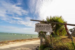 Borassus Nature Huts by ABC Leisure's group - 8