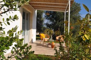 Agriturismo Santo Stefano - Monopoli - Monopoli - 7