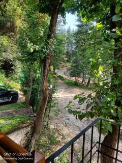 Tall Trees Riverside Resort, Manali - 1