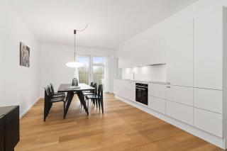 Luxurious Apartment 1 - 3