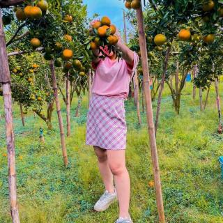 BB โฮมส์เทสเมืองคอง ไร่ส้ม bb - 6