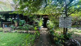 Sigiri Nature Crest Treehouse Villas - 8