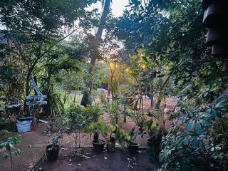 Sigiri Nature Crest Treehouse Villas - 6
