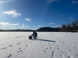Secluded, private jetty, facing south, on the lake - 1