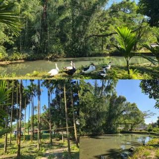 EYA Nest Homestay - 5