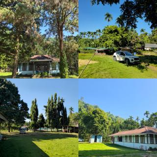 EYA Nest Homestay - 1