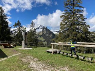 Chalet Alte Post - 4