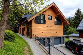Bedrichov forest Villa - 9