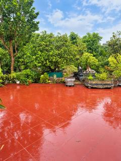 Long Homestay garden - 6
