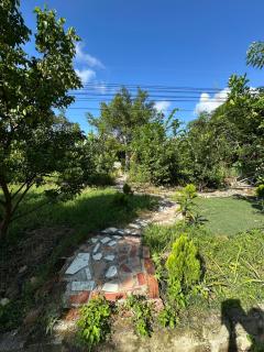 Long Homestay garden - 2
