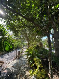 Long Homestay garden - 1