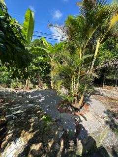 Garden 1 - 5
