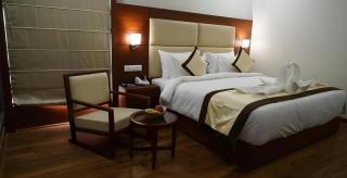 Hotel Jaipur Central, Jaipur - 6