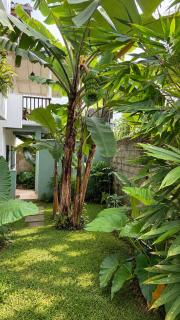 Spice House - 6