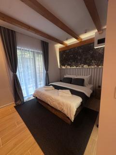 Cabana Susur - Valea Doftanei - 1