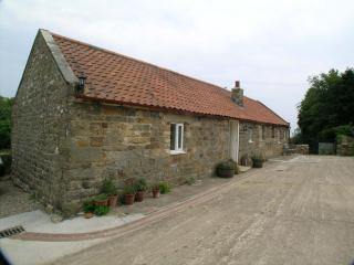 Whitestone Cottage - Staintondale - 9