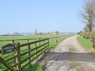 The Stables - 9