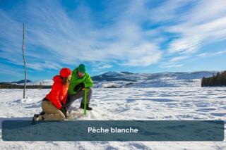 Chalet Horizon, Lakefront, Games, Ski-doo - 2