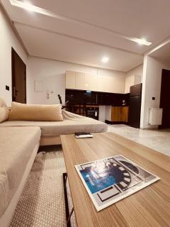 Cozy S1 - 2