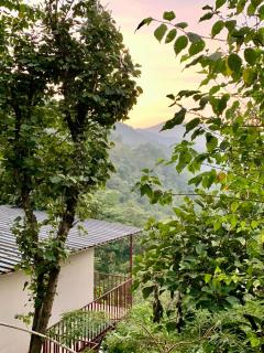 Hanging Cottage Rishikesh - 9