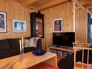 Charming Family Cabin in Scenic Dagali - 4