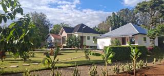 Dans place - 0