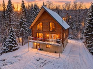 Chalet Saumon for 16 Guests , Parc appalaches - 8