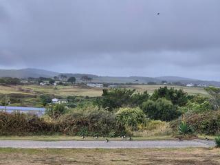 D57 Bramble, Riviere Towans - 9