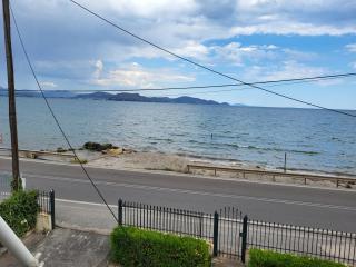 Seaside Appartment Bluethalassa with Garden - 1