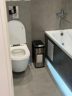Everest Apartment near Sayran Lake - 4