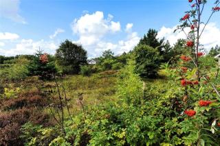 0227-Romo-Kromosevej-17 - 8