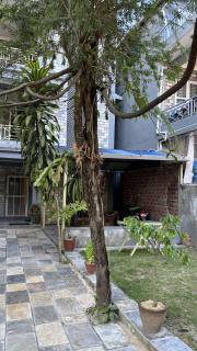 Fishtail Palm Apartment - 5