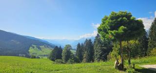 Ferienwohnung Weitblick - 2