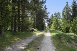 C11201-Hemmet-Raevekrogen-54 - 5