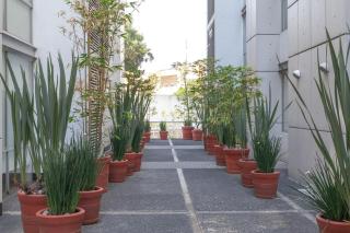 Mi Zona Lodging Xochicalco - 5