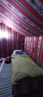 Camping Saharien - 1