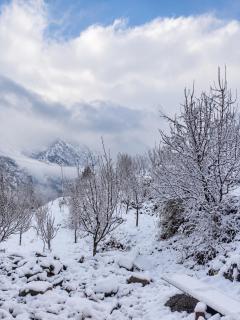 Saanjh Aur Sukoon - A Boutique Homestay - 7