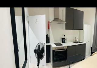 Small Studio in Central London - Londres - 5